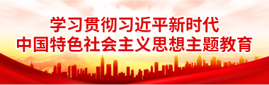 学习贯彻*新时代中国特色社会主义思想主题教育